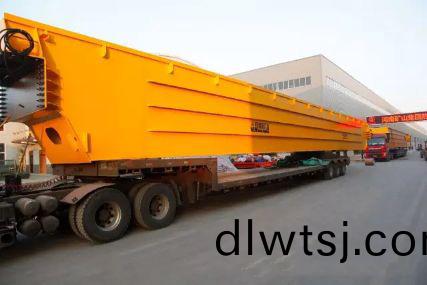 雙樑起(qi)重機(ji)