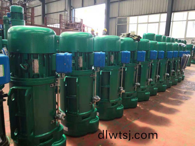 電動葫(hu)蘆(lu)